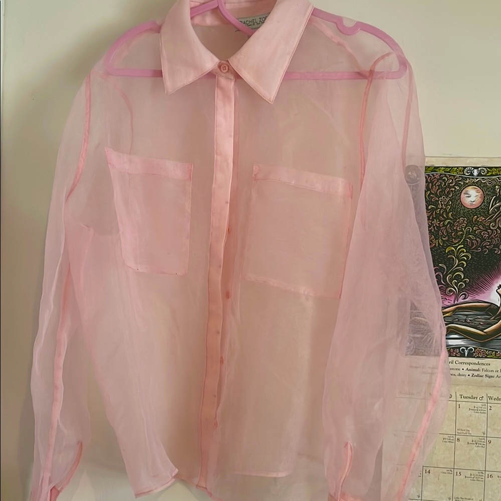 Sheer Pink Button-Up Blouse